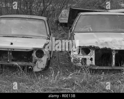 A car graveyard with old and rusted carwrecks in black and white Stock Photo