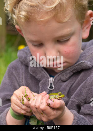 Een peuter bekijkt een groene kikker die hij in zijn hand houdt Stock Photo