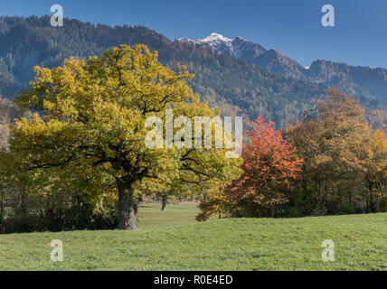 fall color mountain landscape in the Maienfeld region of Switzerland with snowy peaks and colorful trees Stock Photo