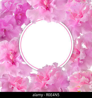 Festive floral frame template with pink gentle azalea flowers and blank round white space for text. Elegant flower design in romantic style Stock Photo