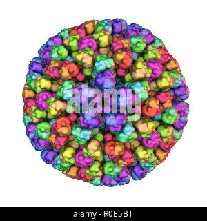 bluetongue-virus-particle-computer-illustration-of-the-core-particle