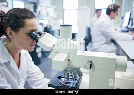 Female laboratory assistant using microscope. Stock Photo