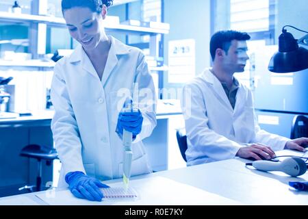 Scientist using pipette in the laboratory. Stock Photo
