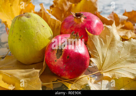 Autumn leaves, quince and pomegranate. Ripe organic pomegranate and quince in still life with yellow leaf. Seasonal background texture. Autumn foliage Stock Photo