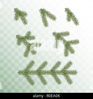 Conifer branches set. Green branches of a Christmas tree isolated on transparent background. Vector illustration Stock Vector