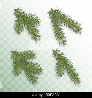 Conifer branches set. Green branches of a Christmas tree isolated on transparent background. Conifer branch symbol of Christmas and New Year. Holiday  Stock Vector