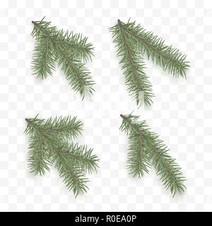 Set of realistic fir branches. Holiday ornate elements. Christmas tree or pine. Conifer branch symbol of Christmas and New Year isolated on transparen Stock Vector