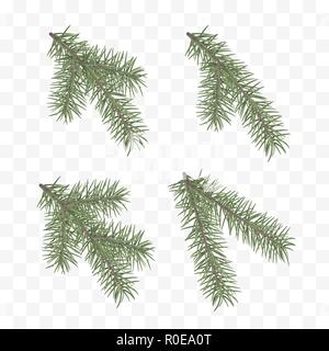 Set of realistic fir branches. Christmas tree or pine. Conifer branch symbol of Christmas and New Year isolated on transparent background. Vector illu Stock Vector