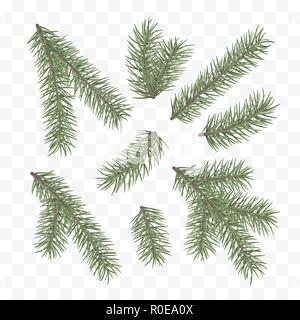 watercolor christmas tree branches background vector design illustration  Stock Vector Image & Art - Alamy