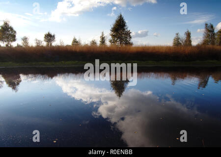 Sunset over the moor at Bargerveen, the Netherlands. Stock Photo