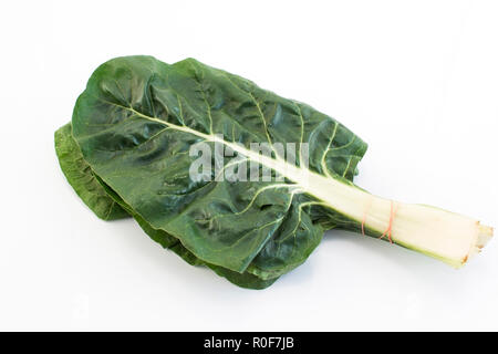 Swiss Chard Isolated on White. Stock Photo