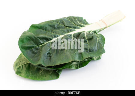 Swiss Chard Isolated on White. Stock Photo