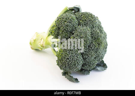 Fresh Broccoli Isolated on White. Stock Photo