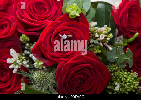 Engagement ring sitting in the brides wedding bouquet of red roses Stock Photo