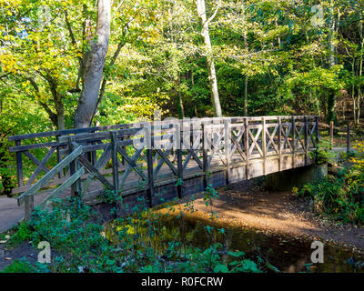 Timber footbridge over the Skelton Beck stream in the Saltburn Valley Gardens North Yorkshire England Stock Photo