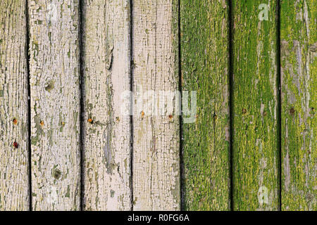 gradient of green paint on wooden boards Stock Photo