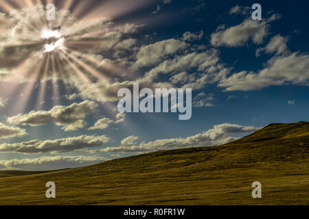 Sheep on Hulunbuir grassland in Inner Mongolia,China Stock Photo