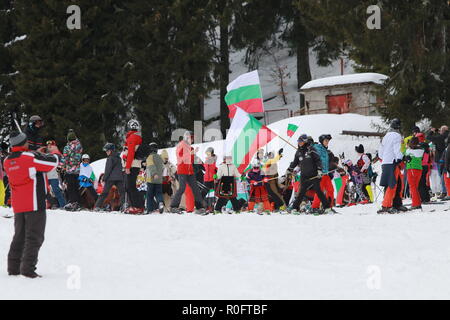 Skiing with Bulgarian flags at Pamporovo ski resort, Bulgaria. People dressed with traditional Bulgarian clothes skiing with the national flag. Stock Photo