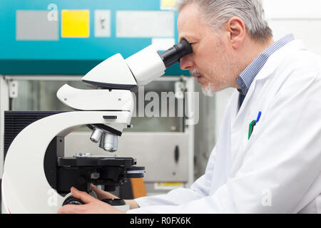 Researcher using microscope in a laboratory Stock Photo
