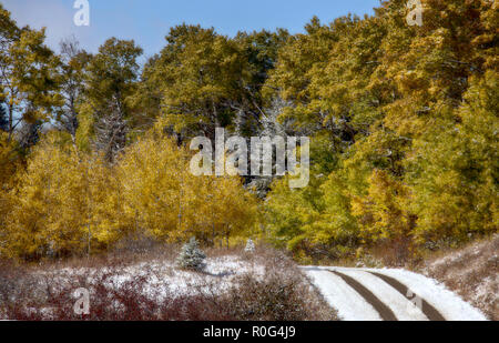 Cypress Hills First Snowfall Alberta Saskatchewan Canada Stock Photo