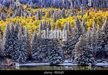 Cypress Hills First Snowfall Alberta Saskatchewan Canada Stock Photo