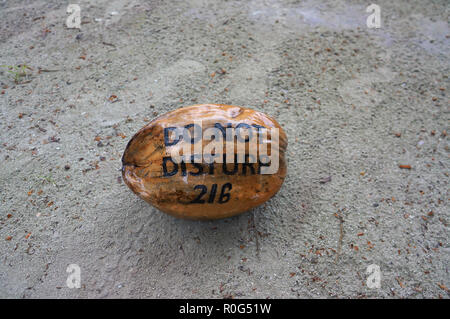 Coconut with writing on its shell lying on the sand of a beach as hotel guests request art sign not to disturb. Exotic travel destination for holiday, Stock Photo