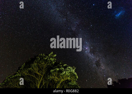 Milky Way in the Southern Hemisphere, New Zealand Stock Photo