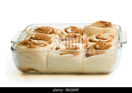 Raw cinnamon  buns in clear glass baking form isolated on white Stock Photo