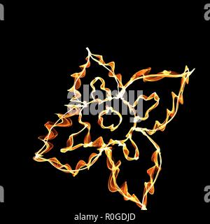 Four petals stylized fire flower on black Stock Vector