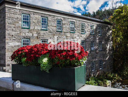 Orange Chrysanthemums, Mums container box decorates Main Street in Woodstock, autumn, Vermont, USA, US, Vt, New England fall colours Stock Photo