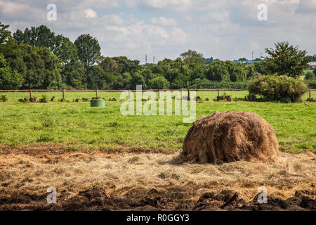 Irene farm in Pretoria, South Africa Stock Photo