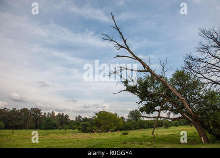 Irene farm in Pretoria, South Africa Stock Photo