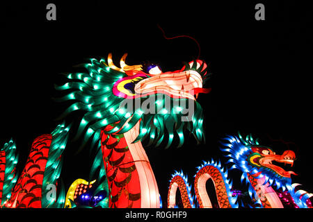 photo of beautiful illuminated chinese dragon lantern Stock Photo