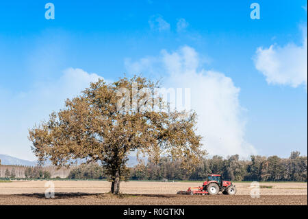 Agricultural landscape with a tree and tractor plowing the field with harrow. Stock Photo