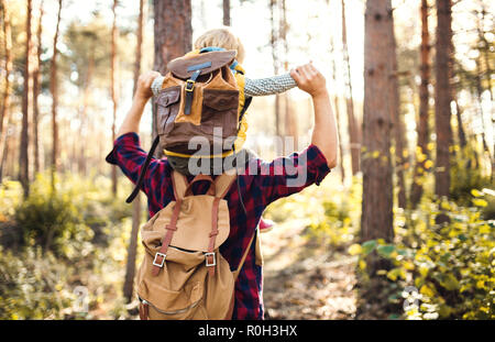 A mature father giving a toddler son a piggyback ride in an autumn forest. Stock Photo