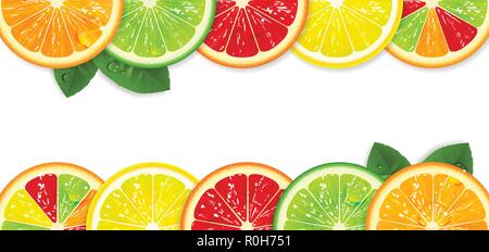 banner with bright citrus fruits on a white background Stock Vector