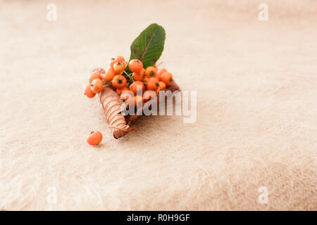 macro detail of small orange tomatoes on dry brown autumn leaf Stock Photo
