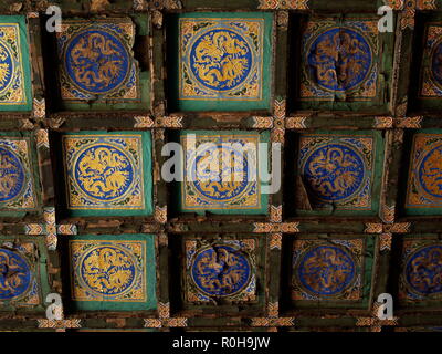 Forbidden City Ceiling Tiles Stock Photo