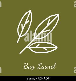 Bay laurel leaves icon. Flavoring spices vector symbol. Stock Vector