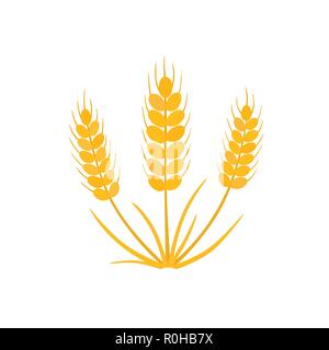 Grain, wheat icon. Vector illustration on white isolated background Stock Vector