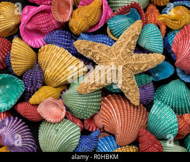 Starfish on a pile of colorful seashells Stock Photo