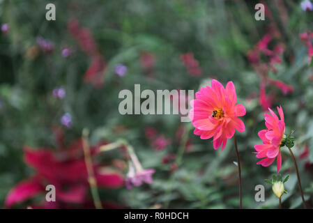 Autumn views of the Conservatory Garden in Central Park, New York City. Stock Photo