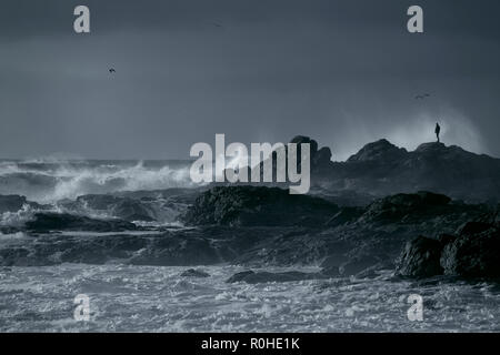 Man looking at rough sea on a cliff in the end of the day. Black and white toned blue. Stock Photo