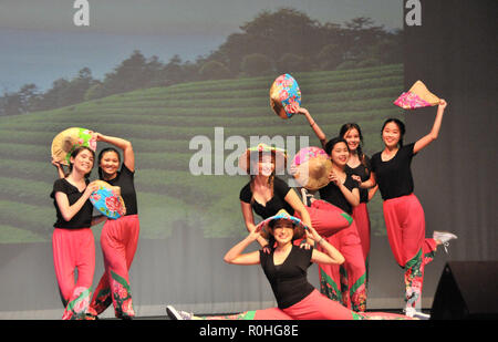 Houston, USA. 3rd Nov, 2018. Students perform in Houston, Texas, the United States, Nov. 3, 2018. Students from five American high schools presented Chinese art performances Saturday night in Houston, the fourth largest city in the U.S. Credit: Liu Liwei/Xinhua/Alamy Live News Stock Photo