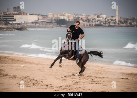 November 4, 2018 - Saida, Lebanon - A jockey seen competing during the horse race..Horse race at the Saida festival for speed, held on a public town beach, organised by a joint effort from the municipality of Sidon and the Ride-Along Club. (Credit Image: © Elizabeth Fitt/SOPA Images via ZUMA Wire) Stock Photo