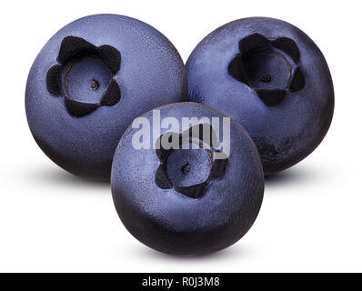 Three Ripe blueberry isolated on white background. Clipping Path. Full depth of field. Stock Photo