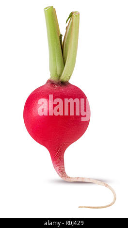 Fresh red radish isolated on white background. Clipping Path. Full depth of field. Stock Photo