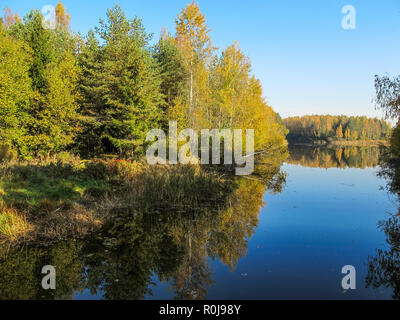 Autumn forest with a beautiful lake in sunny day. Bright colorful trees reflected in calm water with fallen leaves Stock Photo