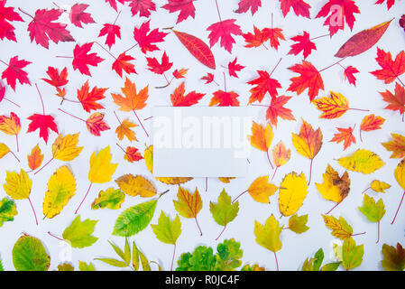 Top view empty rectangular canvas blank on autumn leaves gradient colorful rainbow background on white. Leaf pattern fall colors flat lay. Seasonal ba Stock Photo