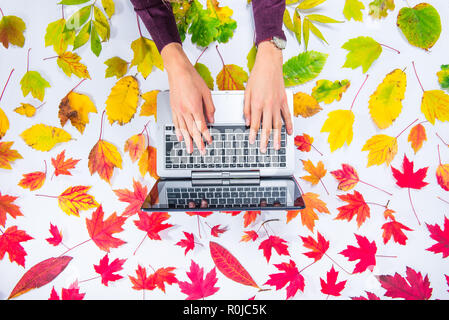 Autumn composition: workspace with hands on laptop keyboard on fallen leaves gradient colorful rainbow background on white. Freelancer working place.  Stock Photo